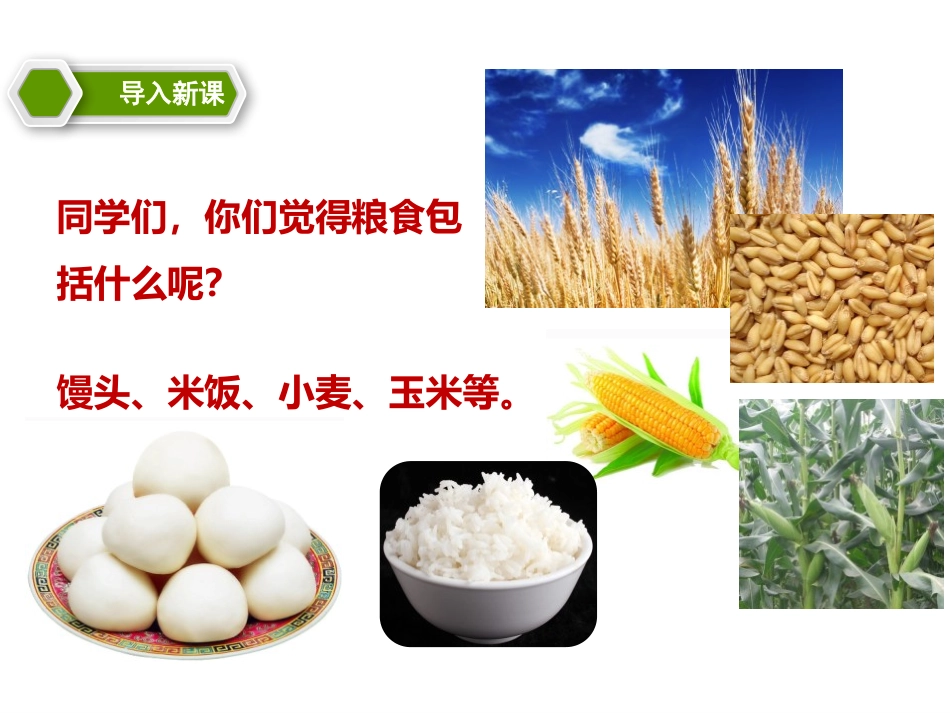 《朱德的扁担》PPT课文课件[部编版二年级语文上册]_第2页