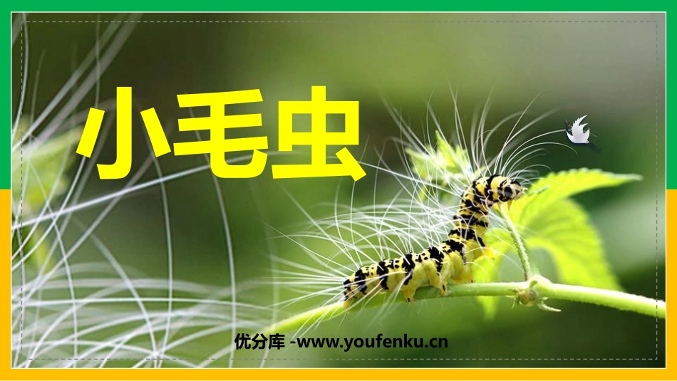 《小毛虫》PPT教学课件[部编版二年级语文下册]_第1页