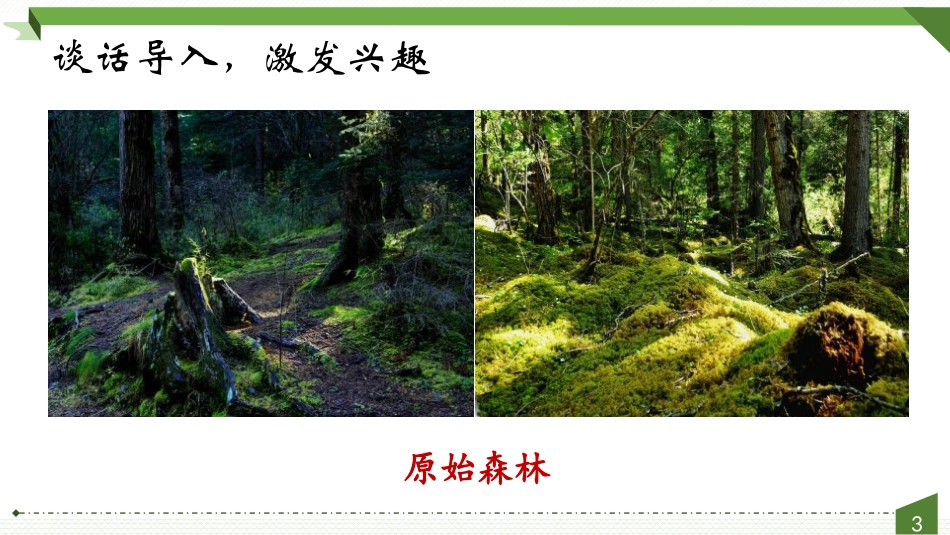 《祖先的摇篮》PPT教学课件(第1课时)[部编版二年级语文]_第2页