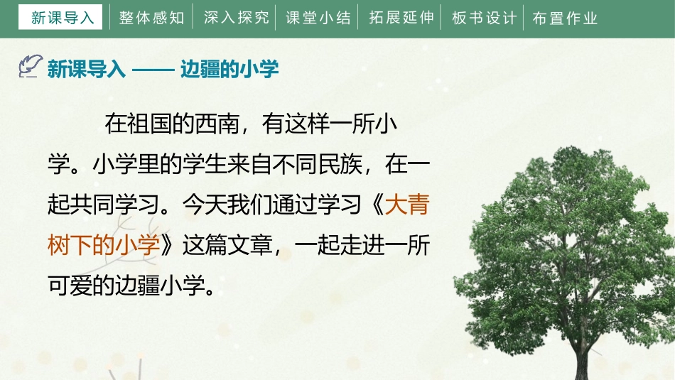 《大青树下的小学》PPT课文课件[部编版三年级语文上册]_第3页