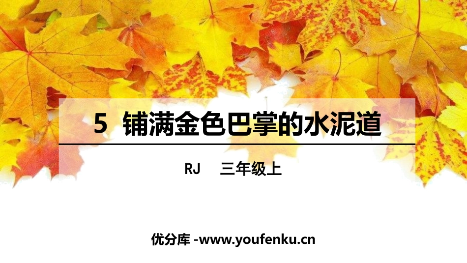 《铺满金色巴掌的水泥道》PPT精品课件[部编版三年级语文]_第1页