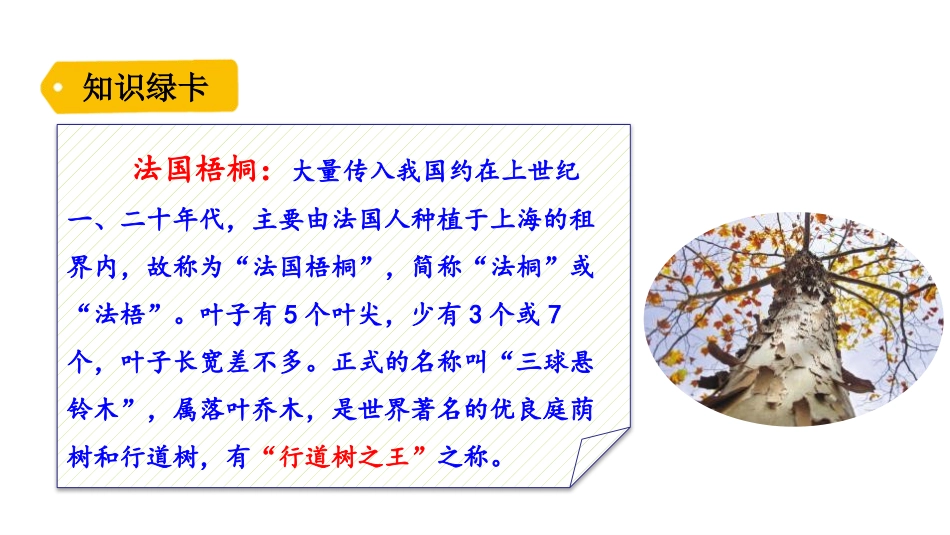 《铺满金色巴掌的水泥道》PPT精品课件[部编版三年级语文]_第3页