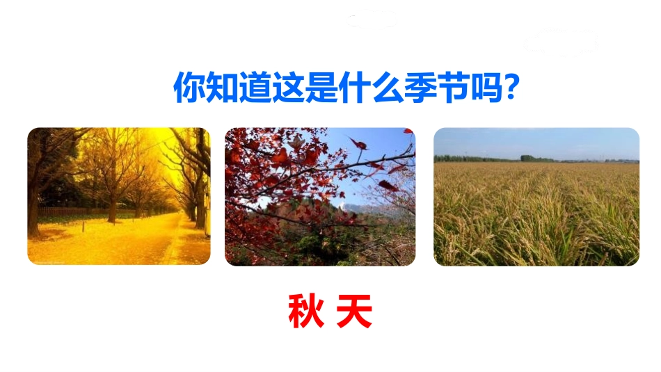 《听听,秋的声音》PPT精品课件[部编版三年级语文上册]_第2页