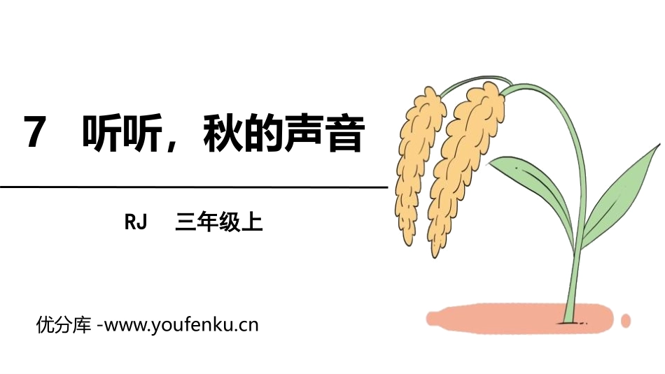 《听听,秋的声音》PPT优秀课件[部编版三年级语文上册]_第1页