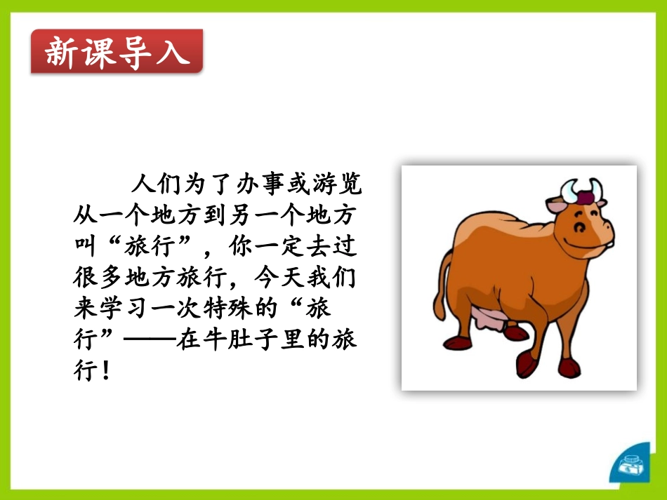 《在牛肚子里旅行》PPT优秀课件[部编版三年级语文上册]_第2页