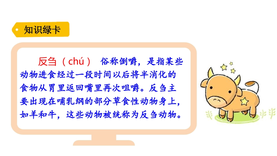 《在牛肚子里旅行》PPT课文课件[部编版三年级语文上册]_第3页