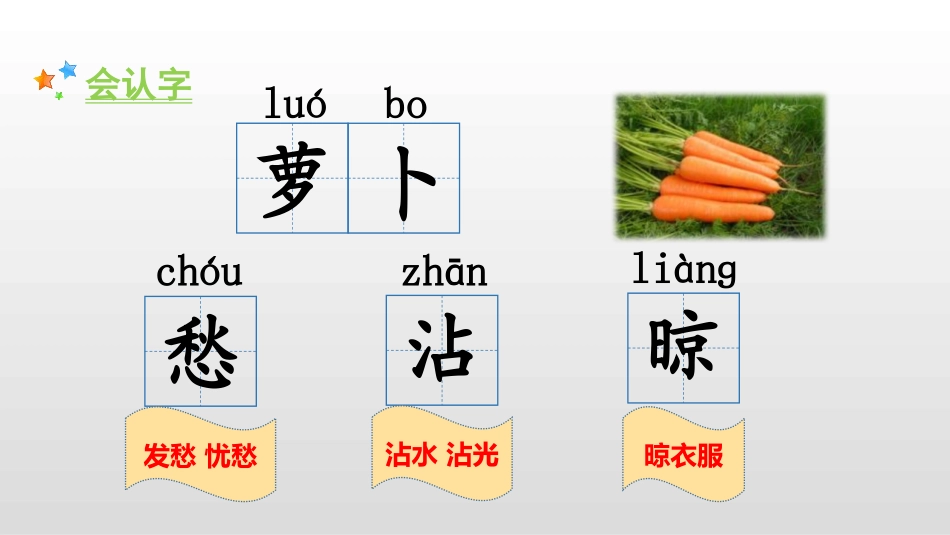 《胡萝卜先生的长胡子》PPT优质课件[部编版三年级语文上册]_第3页