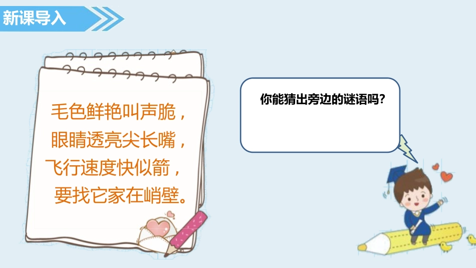 《搭船的鸟》PPT优质课件[部编版三年级语文上册]_第2页