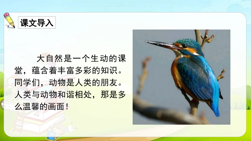 《搭船的鸟》PPT课文课件[部编版三年级语文上册]_第3页