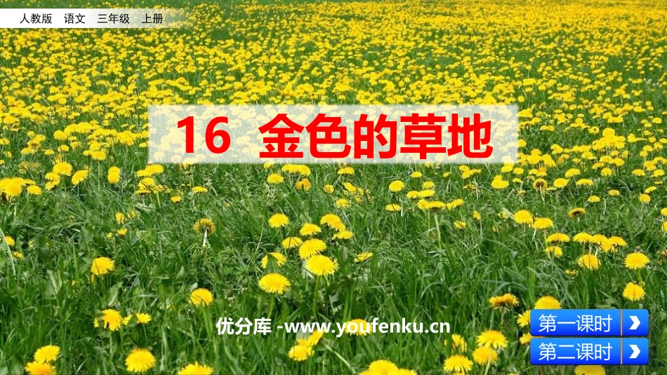 《金色的草地》PPT优秀课件[部编版三年级语文上册]_第1页