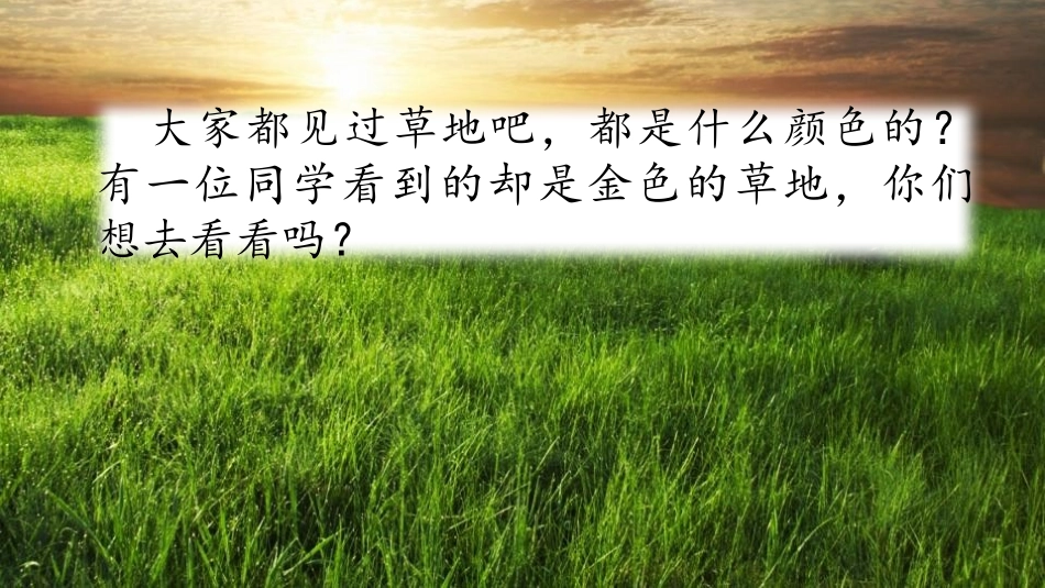 《金色的草地》PPT优秀课件[部编版三年级语文上册]_第2页