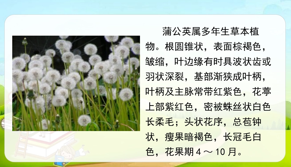 《金色的草地》PPT免费课件[部编版三年级语文上册]_第2页
