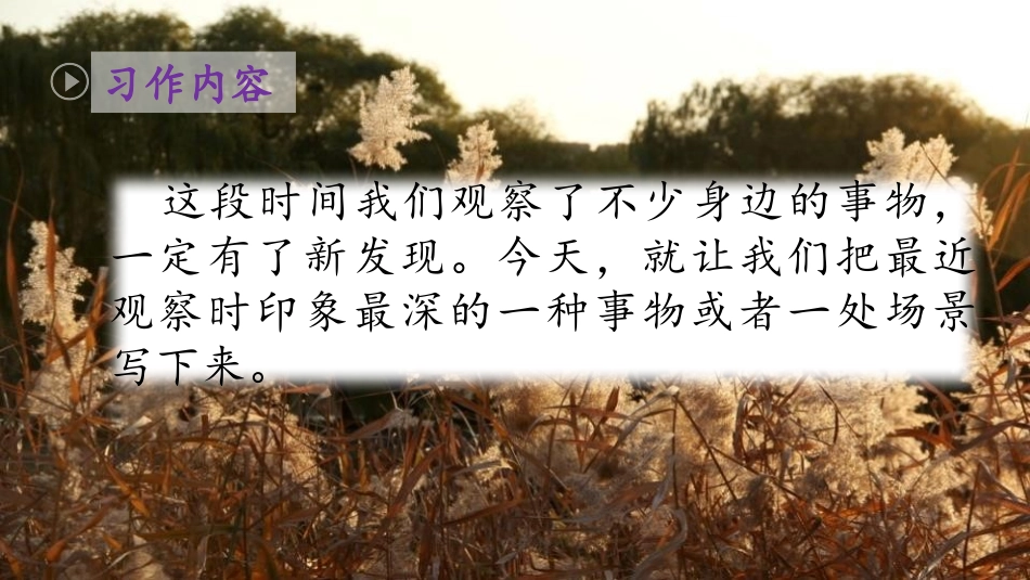 《习作：我们眼中的缤纷世界》PPT教学课件[部编版三年级语文]_第1页
