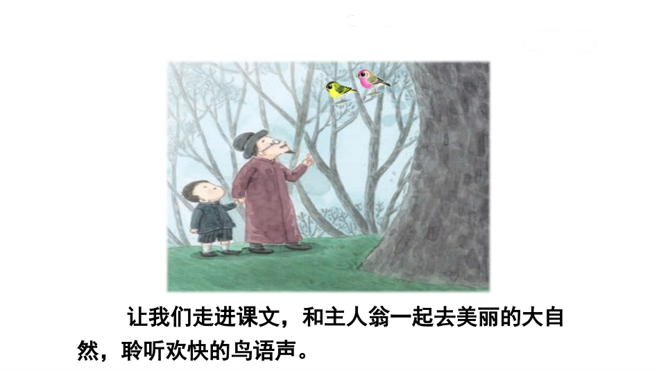 《父亲、树林和鸟》PPT(第1课时)PPT课件[部编版三年级语文]_第3页