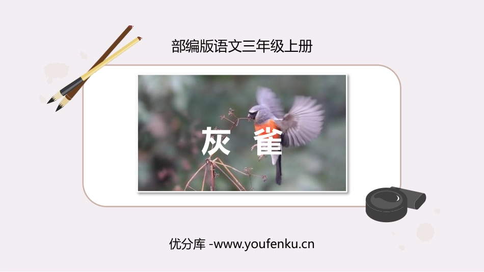 《灰雀》PPT免费课文课件[部编版三年级语文上册]_第1页