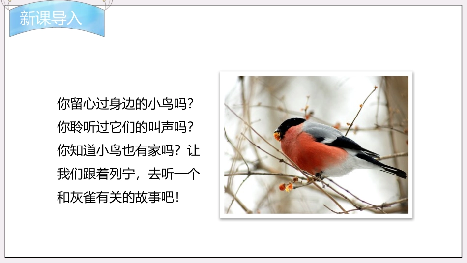《灰雀》PPT免费课文课件[部编版三年级语文上册]_第2页