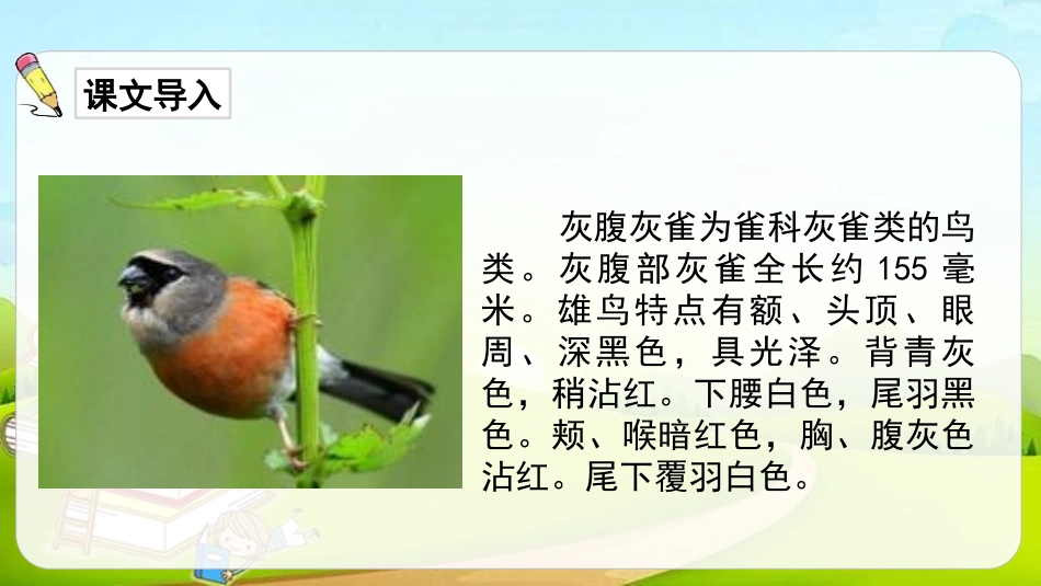 《灰雀》PPT课文课件[部编版三年级语文上册]_第2页