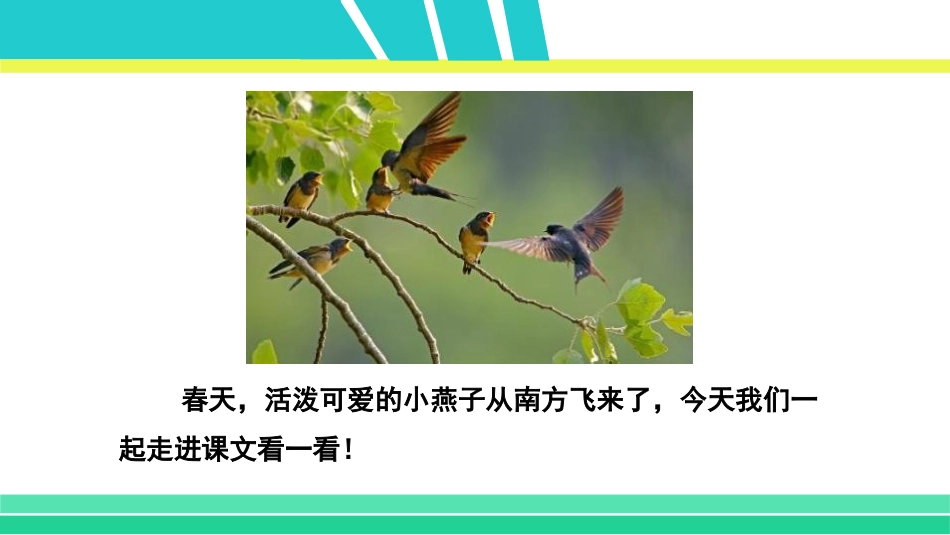 《燕子》PPT优质课件[部编版三年级语文下册]_第3页