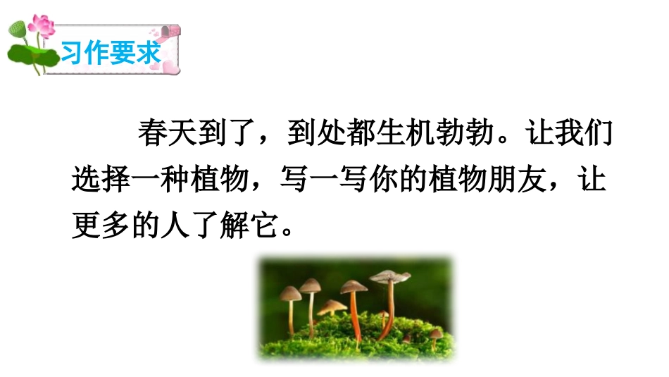 《我的植物朋友》PPT免费课件[部编版三年级语文下册]_第2页