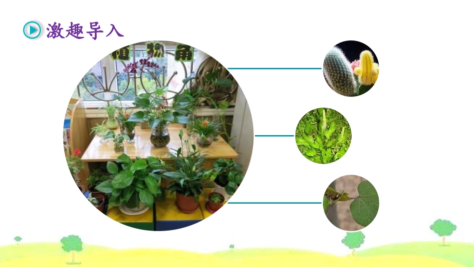 《我的植物朋友》PPT课件[部编版三年级语文下册]_第2页