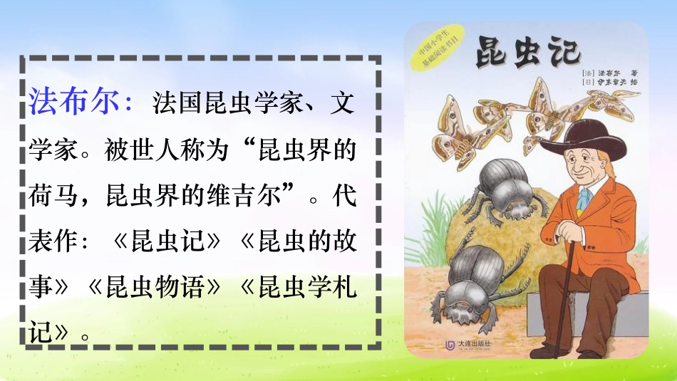 《蜜蜂》PPT优秀课件[部编版三年级语文下册]_第3页
