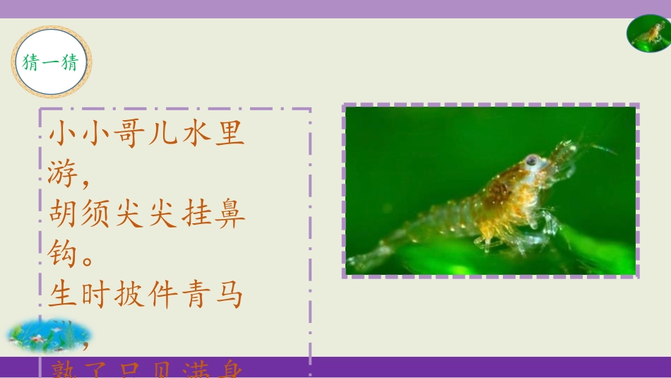 《小虾》PPT优质课件[部编版三年级语文下册]_第2页