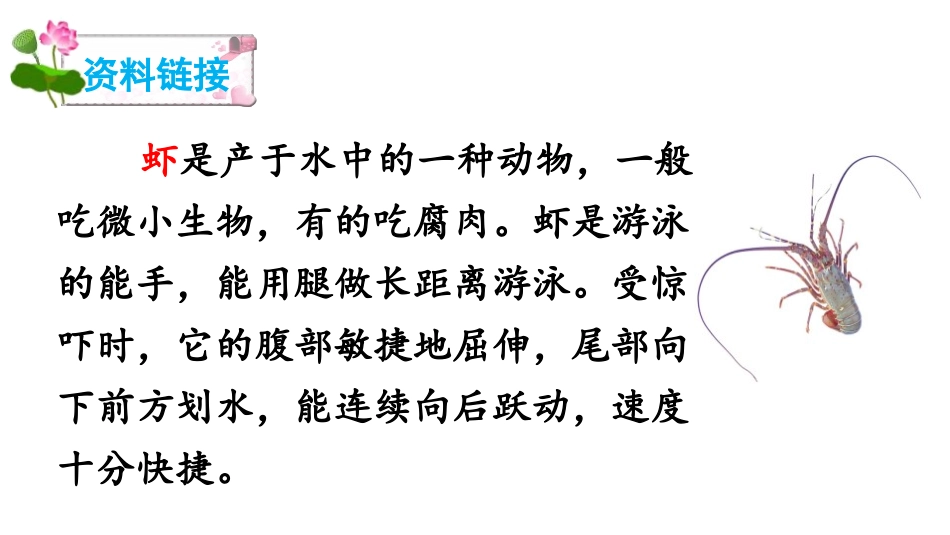 《小虾》PPT课文课件[部编版三年级语文下册]_第2页