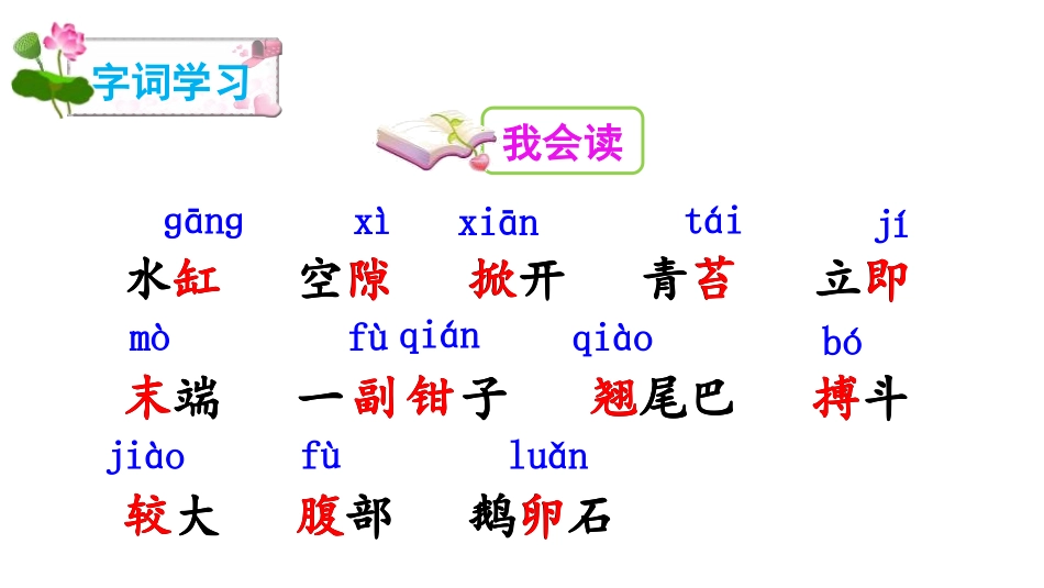 《小虾》PPT课文课件[部编版三年级语文下册]_第3页