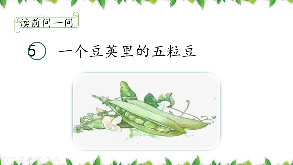 《一个豆荚里的五粒豆》PPT免费课件[部编版四年级语文上册]_第3页