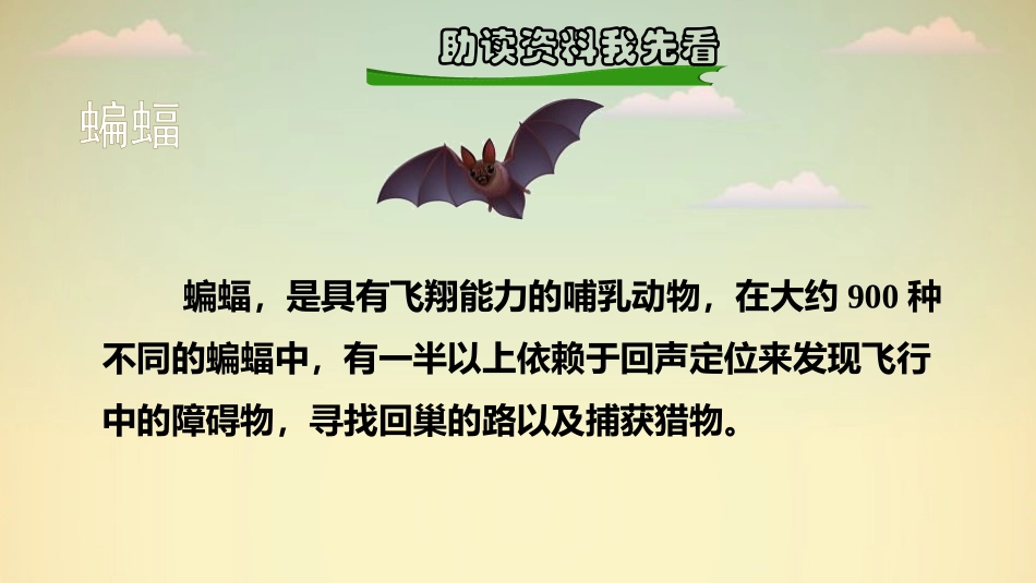 《蝙蝠和雷达》PPT课件(第1课时)[部编版四年级语文上册]_第2页