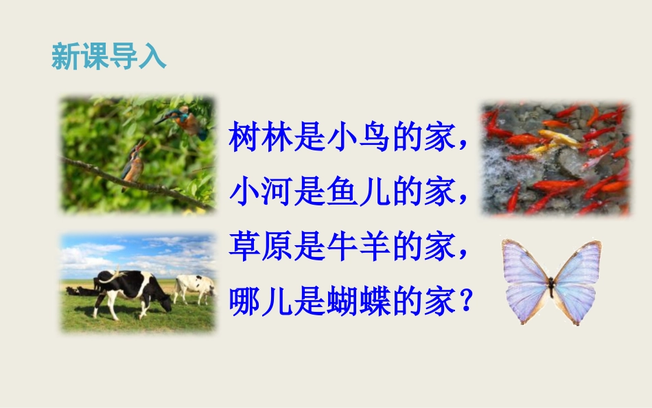 《蝴蝶的家》PPT优质课件[部编版四年级语文上册]_第2页