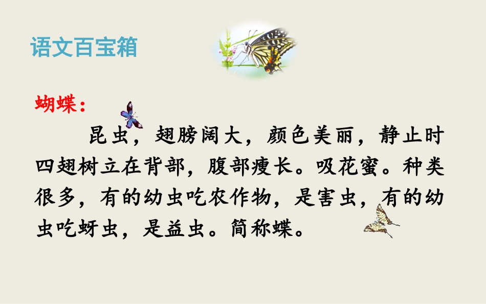 《蝴蝶的家》PPT优质课件[部编版四年级语文上册]_第3页
