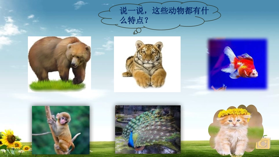 《小小“动物园”》PPT教学课件[部编版四年级语文上册]_第2页