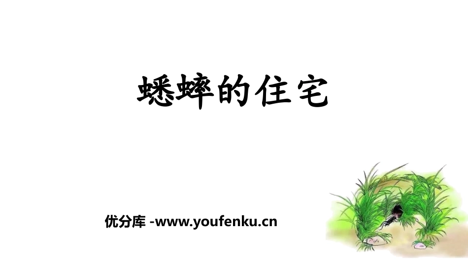 《蟋蟀的住宅》PPT优秀课件[部编版四年级语文上册]_第1页