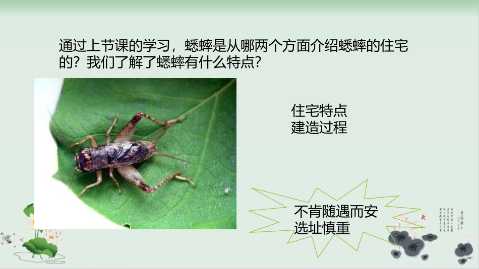 《蟋蟀的住宅》PPT课文课件[部编版四年级语文上册]_第3页