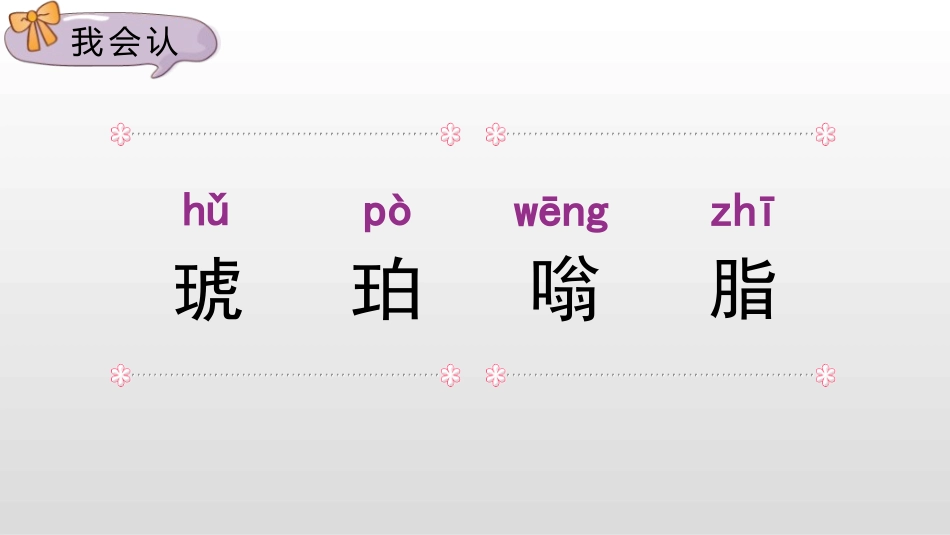 《琥珀》PPT课件[部编版四年级语文下册]_第3页