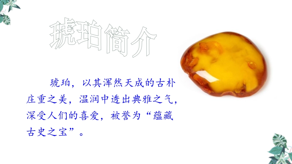 《琥珀》PPT免费课件[部编版四年级语文下册]_第3页