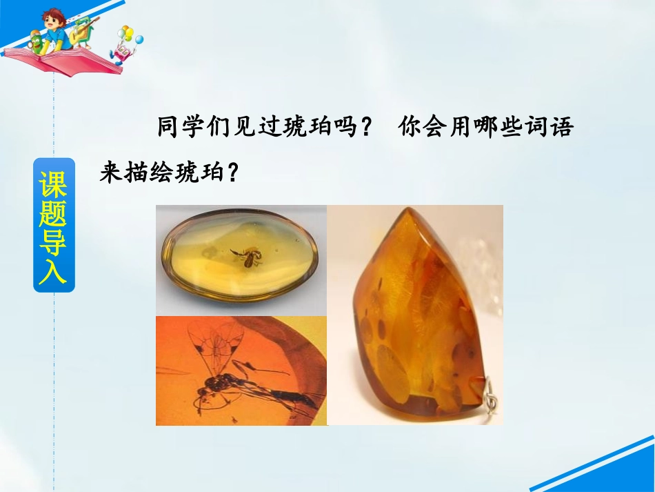 《琥珀》PPT课件[部编版四年级语文下册]_第2页