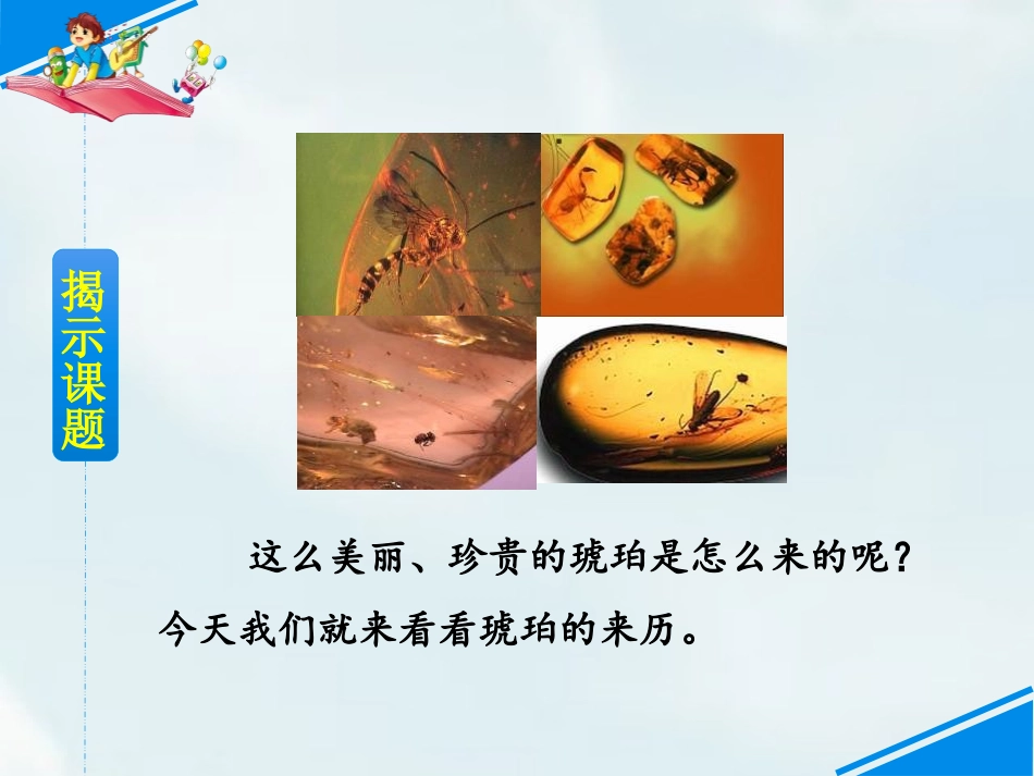 《琥珀》PPT课件[部编版四年级语文下册]_第3页