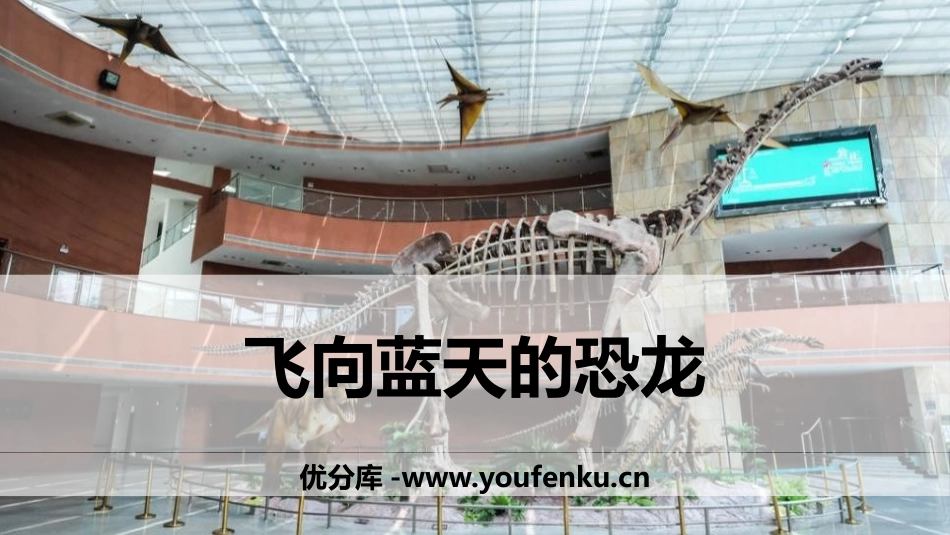《飞向蓝天的恐龙》PPT优秀课件[部编版四年级语文下册]_第1页