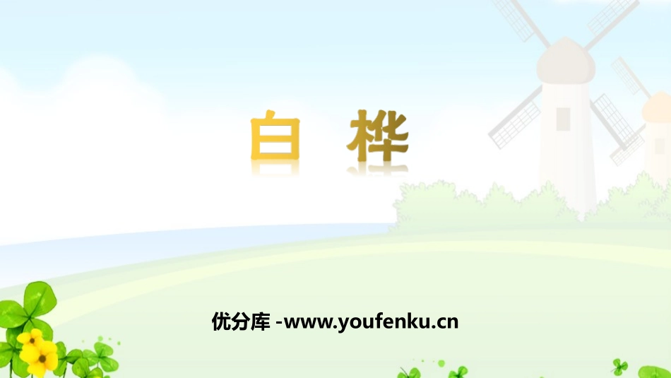 《白桦》PPT免费课件[部编版四年级语文下册]_第1页