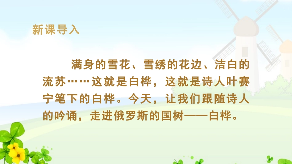《白桦》PPT免费课件[部编版四年级语文下册]_第2页