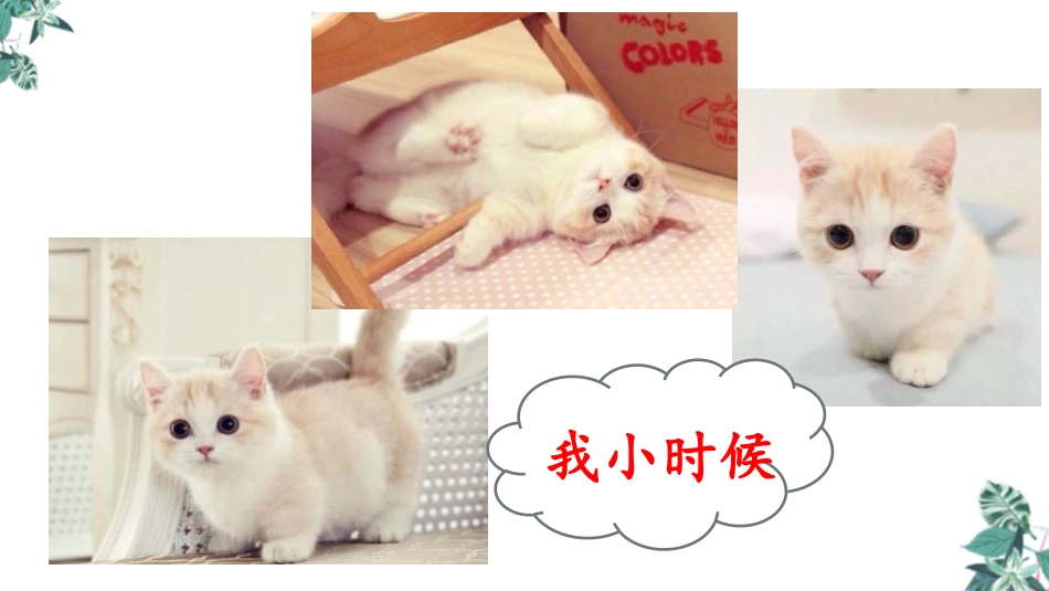 《猫》PPT优秀课件[部编版四年级语文下册]_第3页