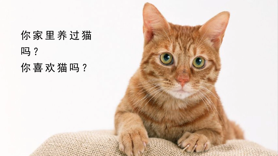 《猫》PPT课文课件[部编版四年级语文下册]_第2页