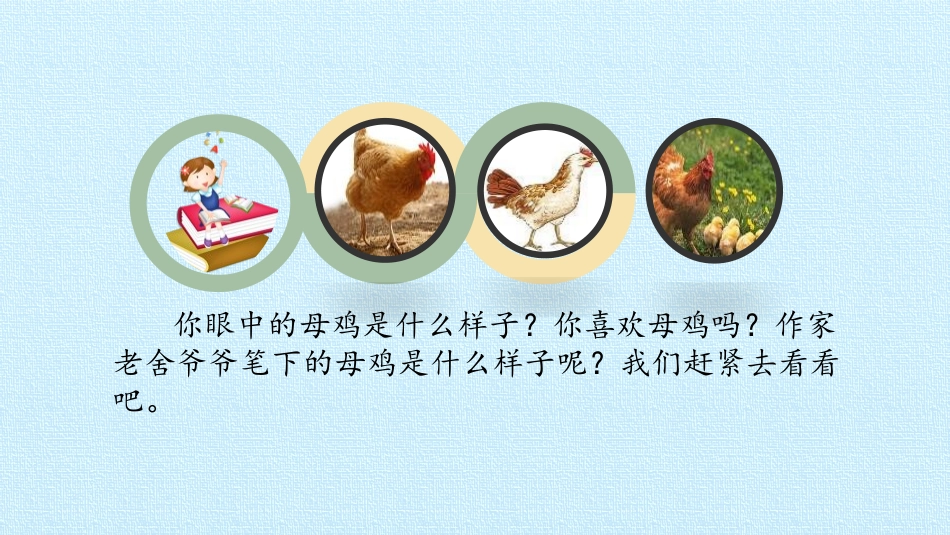 《母鸡》PPT课件[部编版四年级语文下册]_第3页