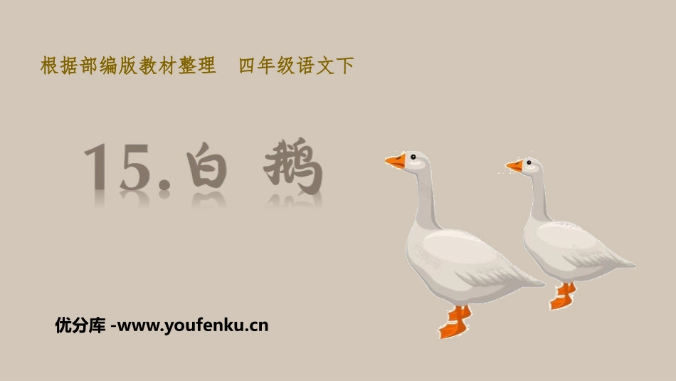 《白鹅》PPT教学课件[部编版四年级语文下册]_第1页