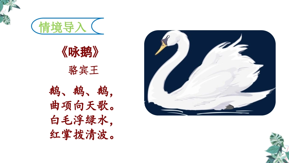 《白鹅》PPT免费课件[部编版四年级语文下册]_第2页
