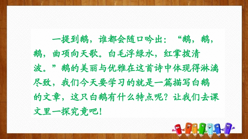 《白鹅》PPT课件[部编版四年级语文下册]_第2页