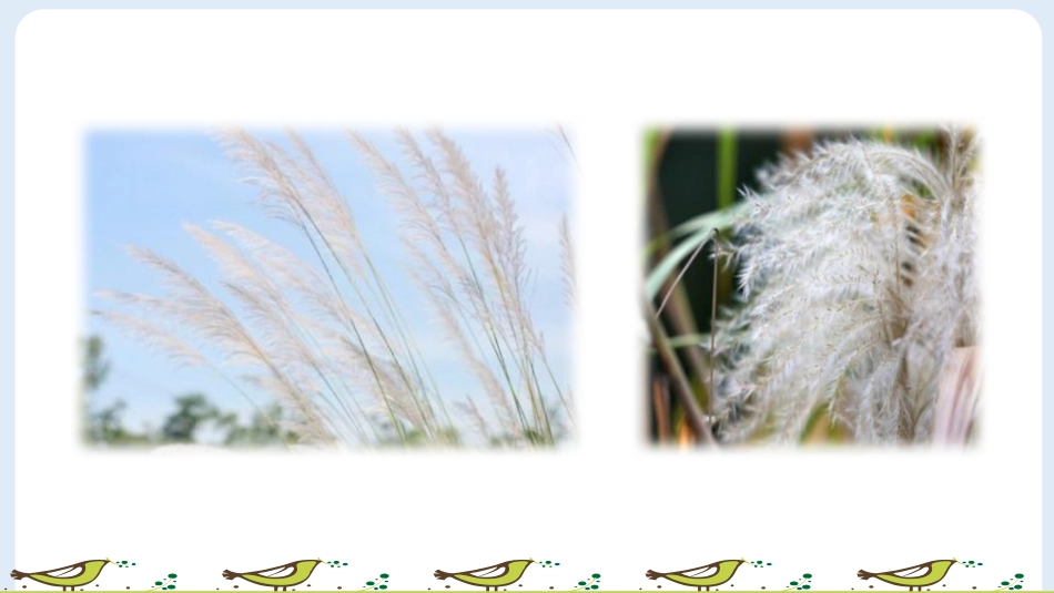《芦花鞋》PPT课件[部编版四年级语文下册]_第2页