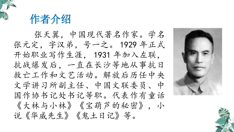 《宝葫芦的秘密》PPT课件[部编版四年级语文下册]_第3页